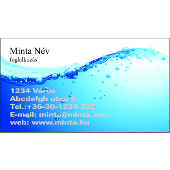 Névjegykártya 1 oldalas, 60 db/cs. - 64