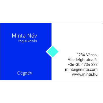 Névjegykártya 1 oldalas, 60 db/cs. - 43