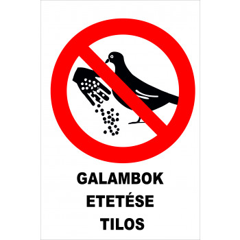 Galambok etetése tilos
