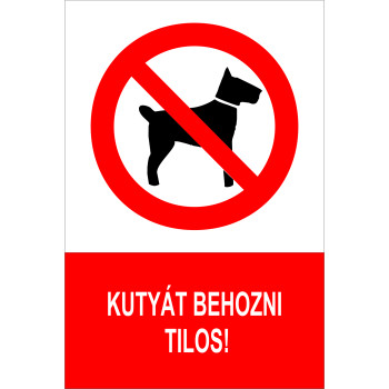 Kutyát behozni tilos!