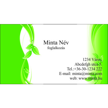 Névjegykártya 1 oldalas, 60 db/cs. - 107