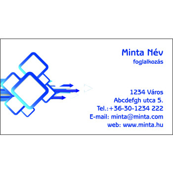 Névjegykártya 1 oldalas, 60 db/cs. - 79