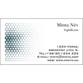 Névjegykártya 1 oldalas, 60 db/cs. - 101