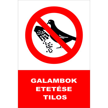 Galambok etetése tilos!