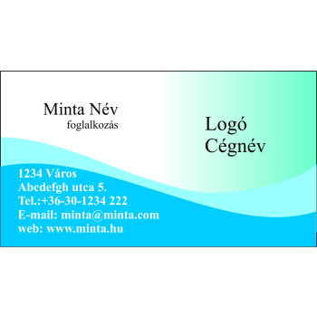 Névjegykártya 1 oldalas, 60 db/cs. - 19