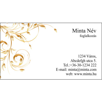 Névjegykártya 1 oldalas, 60 db/cs. - 102