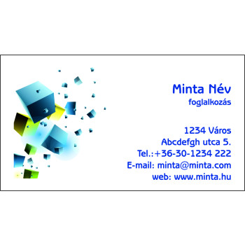 Névjegykártya 1 oldalas, 60 db/cs. - 81