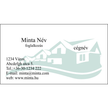 Névjegykártya 2 oldalas, 60 db/cs. - 04