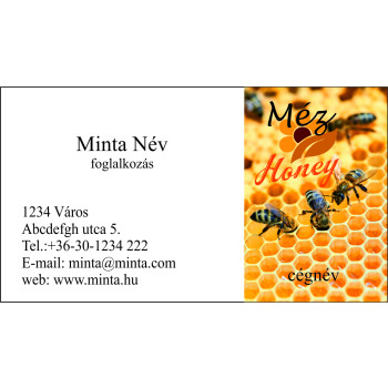 Névjegykártya 1 oldalas, 60 db/cs. - 41