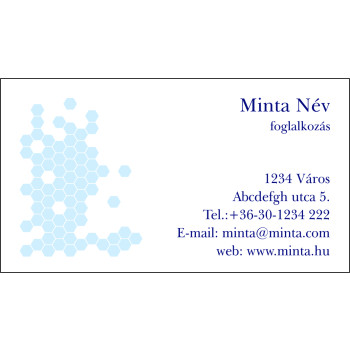 Névjegykártya 1 oldalas, 60 db/cs. - 68