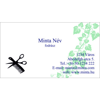 Névjegykártya 1 oldalas, 60 db/cs. - 16