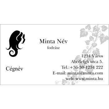 Névjegykártya 1 oldalas, 60 db/cs. - 15